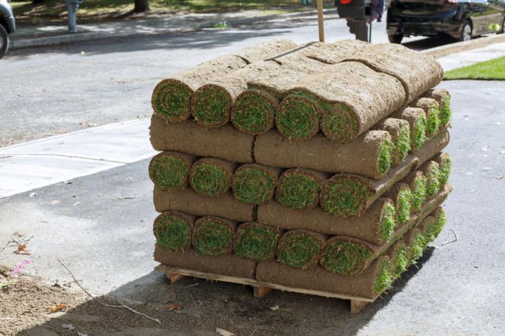 Buy Pallet of Sod (Covers 450?500 Sq Ft ? $150) 1 Pallet of Sod