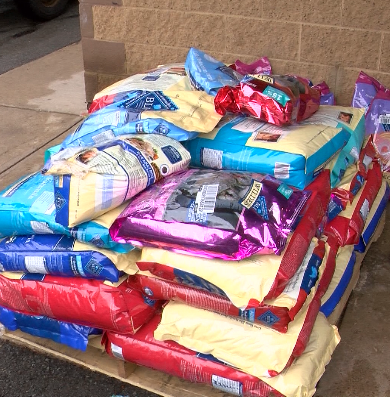 Wholesale Cat Food By The Pallet