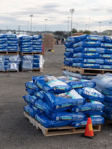 Wholesale Cat Food By The Pallet